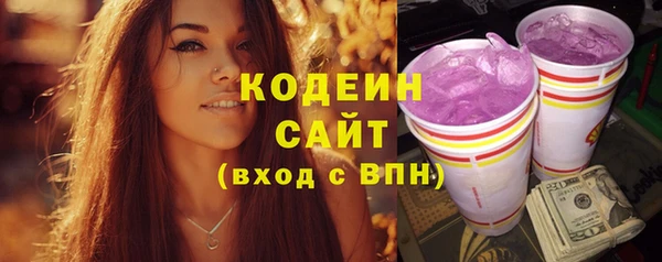 прущие крисы Заводоуковск