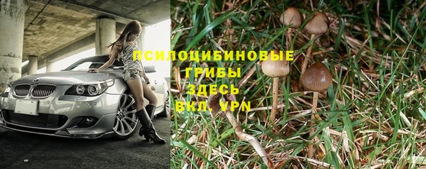 прущие крисы Заводоуковск