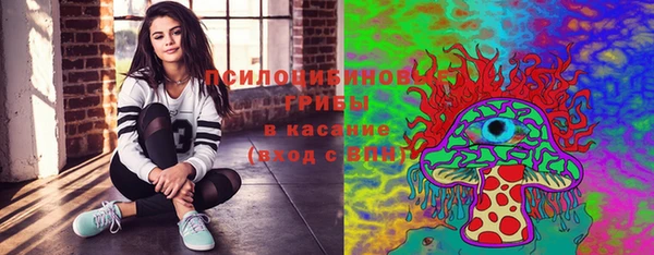 стафф Зерноград