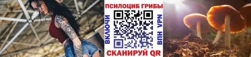 Псилоцибиновые грибы ЛСД  Купить где  Дубна 